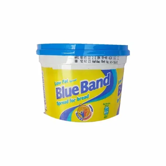 Blue Band Butter (450g)