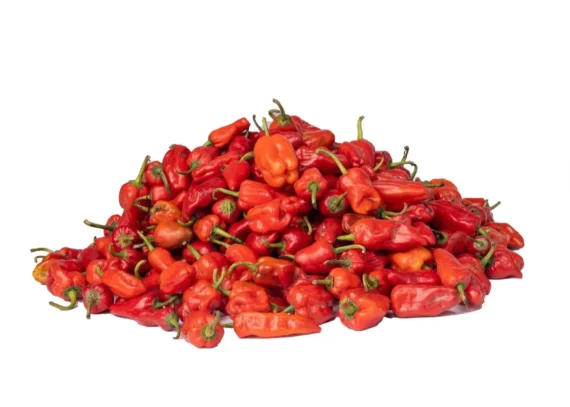 Pepper - Tatase Grade A